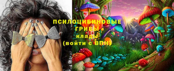 индика Бородино