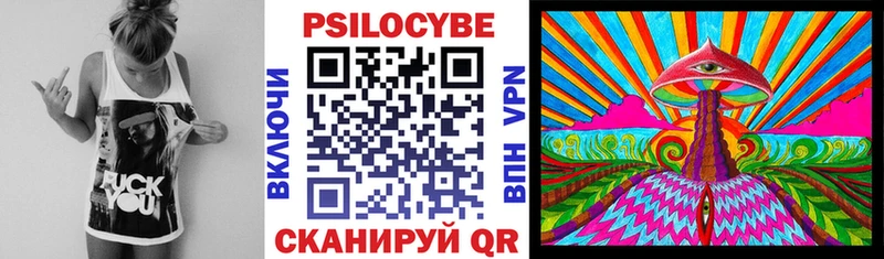 хочу наркоту  Терек  Галлюциногенные грибы Cubensis 